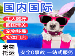重庆梁平机场物流国际宠物托运 【国